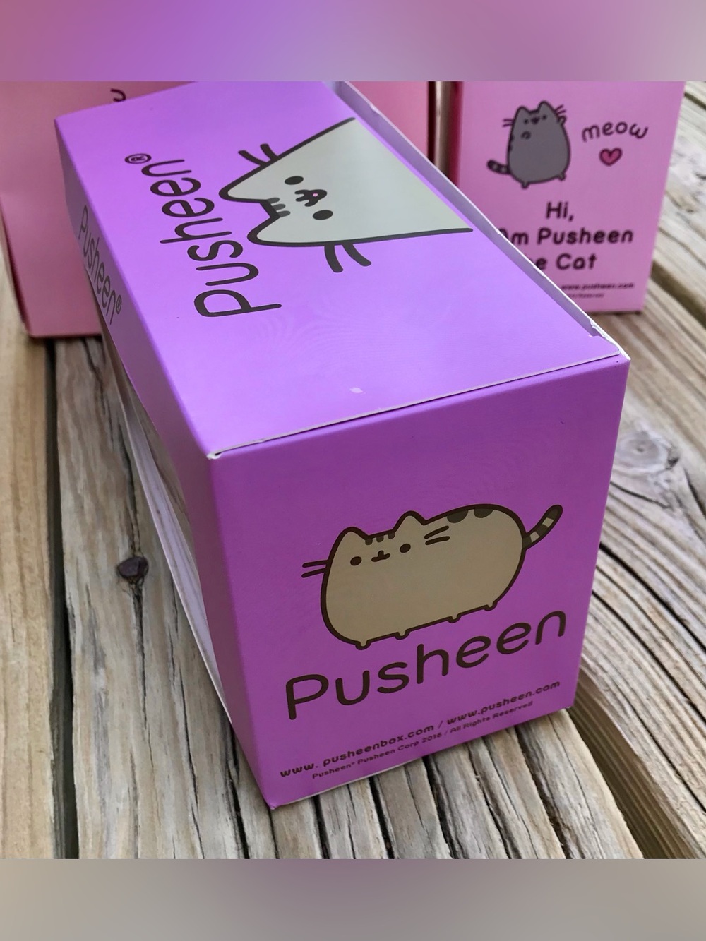 2016 PUSHEEN Cat Bat Halloween Subscription Box Vinyl Figure Toy Decoration - Picture 7 of 11